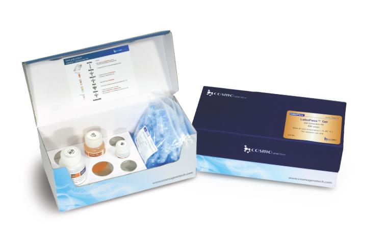 Gel Extraction Kit
