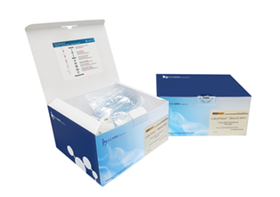 Blood Genomic DNA Isolation Kit Mini