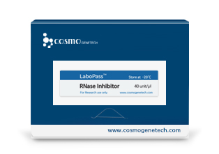 RNase Inhibitor
