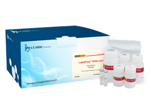 Total RNA Kit