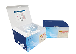 FFPE RNA Isolation Kit Mini